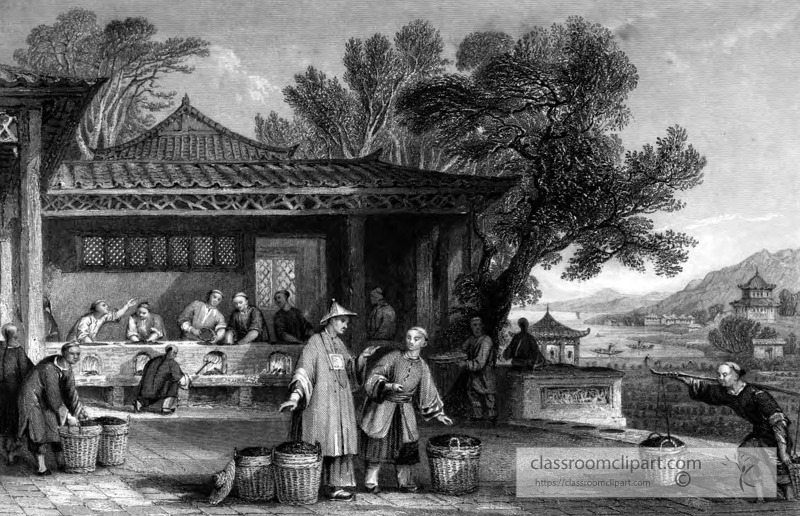 chinese preparation tea historical illustration 10A