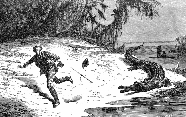 man running from alligator illustration