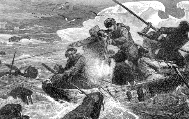 men hunting walruses illustration