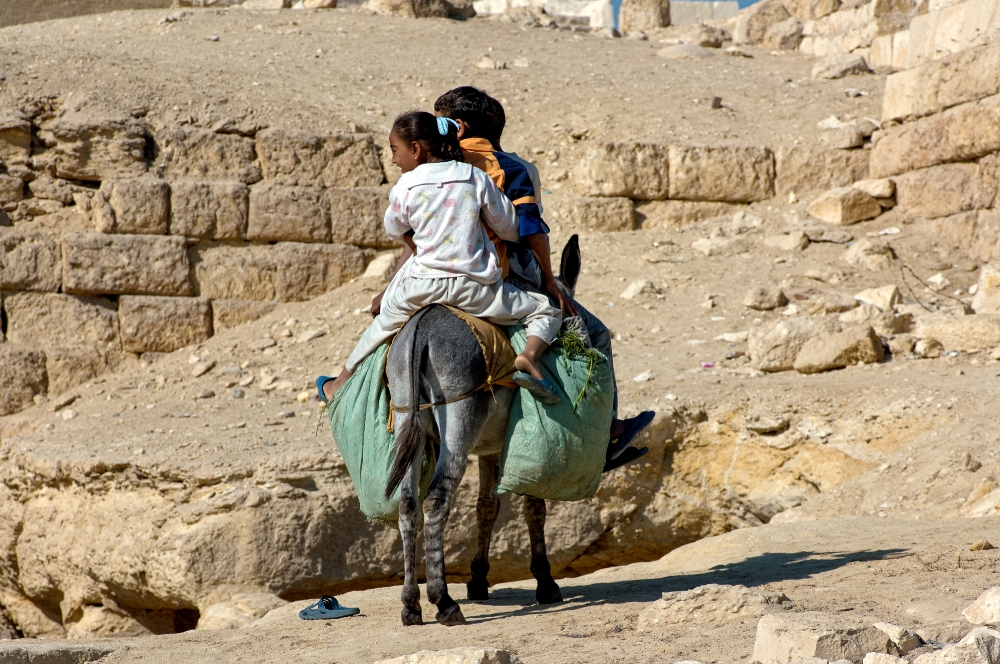 Riding donkey near Pyramids Giza Egypt Photo 5407A