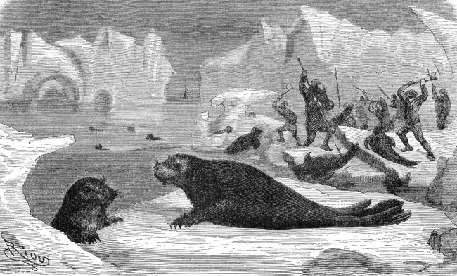 seal hunters illustration