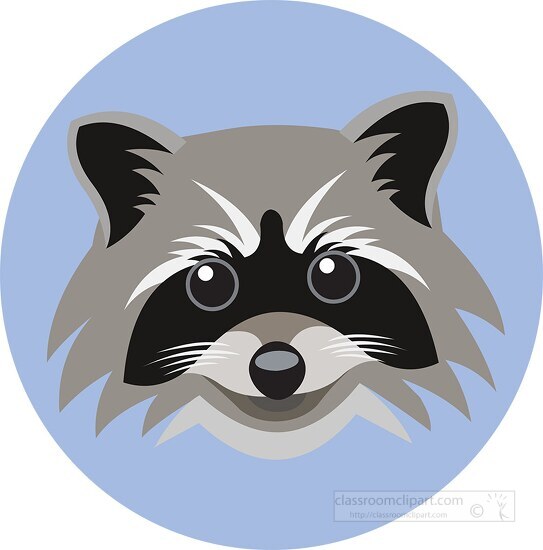 raccoon face cartoon clipart