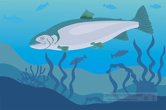 slamon fish under water scene