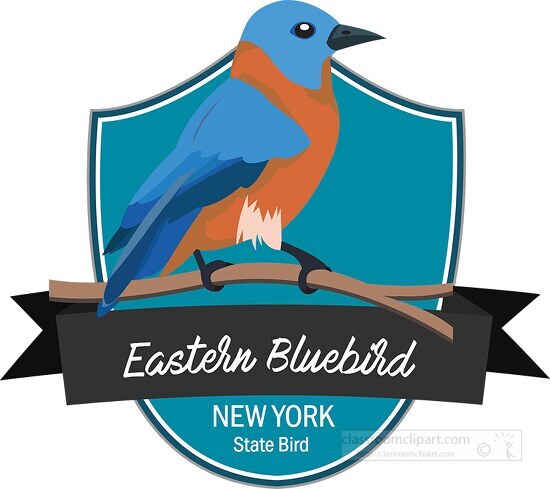 state bird of new york eastern bluebird clipart