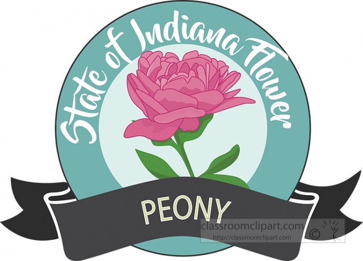 state flower of indiana peony clipart image