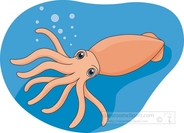 Marine Life Clipart Clipart Squid Mollusk Clipart 614 Classroom Clipart