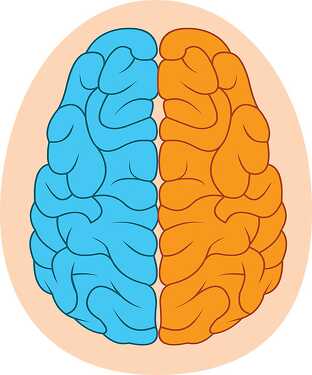 Free Two Sides Human Brain Clipart Classroom Clipart