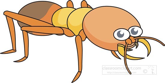 termite isoptera insect cartoon clipart