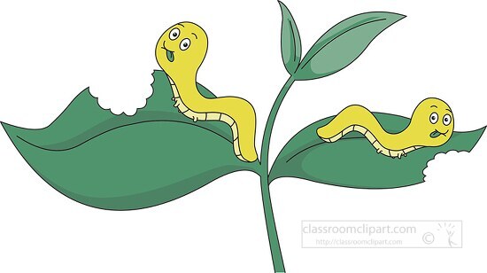 worms eating plant leaf clipart