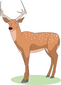 adult deer standing clipart