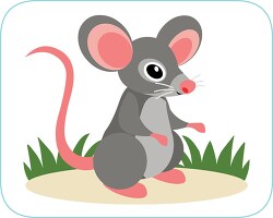big eared gray white pink mouse clipart clipart