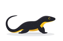 black samander with yellow belly clip art