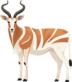 bongo antelope species native to the forests of africa stands on