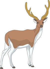 brown deer with large antlers clipart