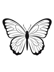 butterfly black outline coloring clipart