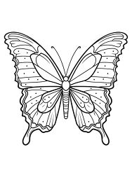 butterfly black outline printable clipart
