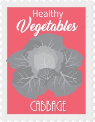 cabbage healthy vegetable stamp style gray color clipart