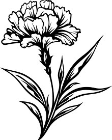 carnation flower with stem and leaves black outline