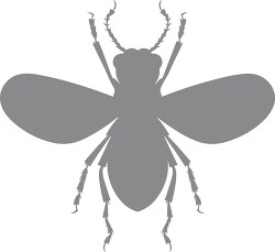 gray silhouette flying winged insect clip art