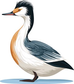 grebe bird reshwater habitats
