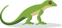 green anole lizard cartoon with a long tail