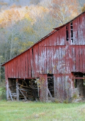 old barn fall colors