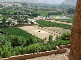 View of surrounding farmlands from within the caves in Bamyan
