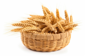 wheat in a wicker basket
