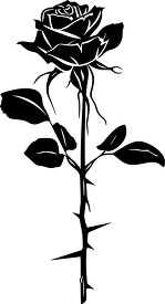 Silhouette of a blooming rose with leaves and thorns