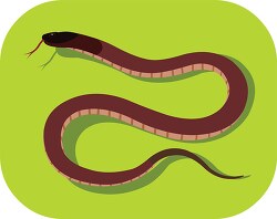 Taipan Snake Reptile Animal Clipart
