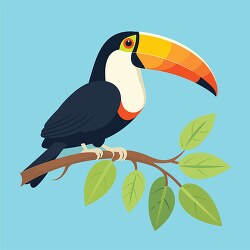 toucan standing on a tree