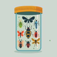 various flying insects in a closed glass jar for observation in 