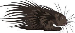walking porcupine with long spikes clip art