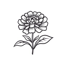 zinnia flower black outline printable
