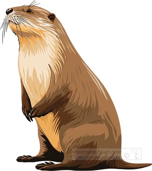 beaver with large flat tail clip art