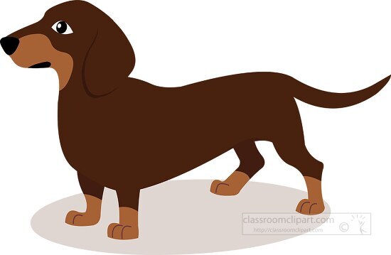 Brown Pet Dachshund Dog Clipart