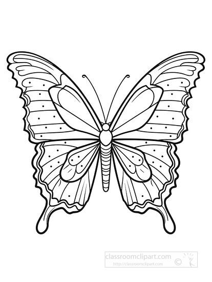 butterfly black outline printable clipart