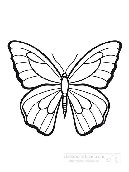 butterfly simple black outline coloring printable clipart