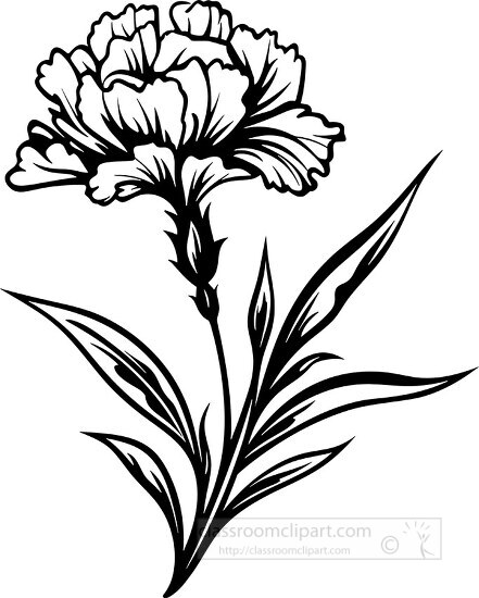 carnation flower with stem and leaves black outline