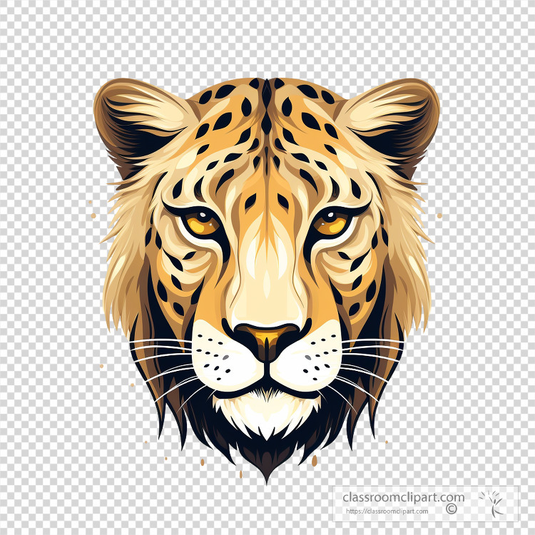 cheetah front face transparent