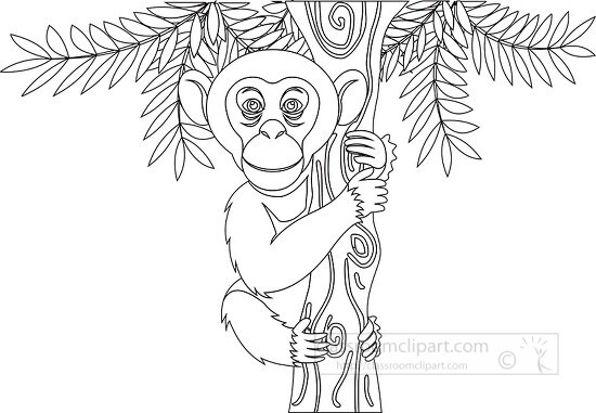 chimpanzee holding onto tree branch black outline clipart