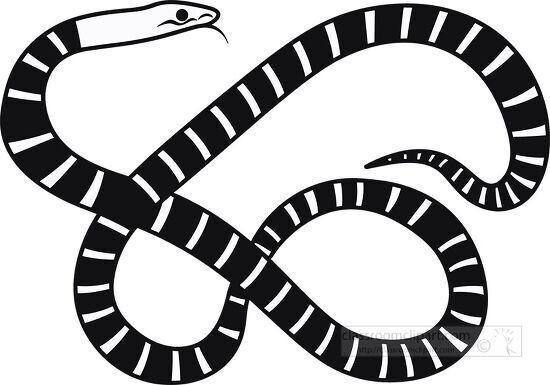 coiled snake Black and white folk art illustration style clip ar