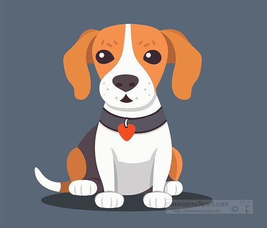 cute beagle contentedly wearing a collar with a heart shaped tag