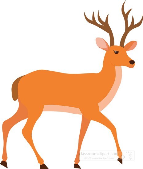 deer ruminant animal with antlers clipart 725
