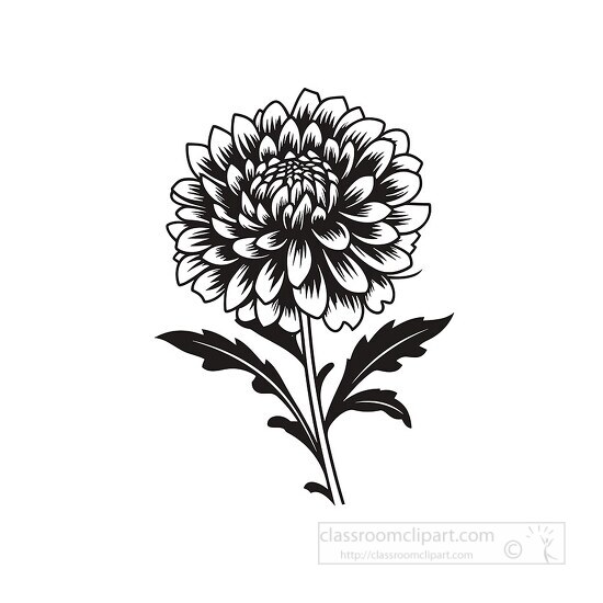 dhalia black outline coloring printable clipart