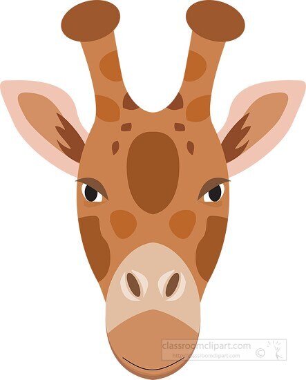 giraffe head front view vector clipart