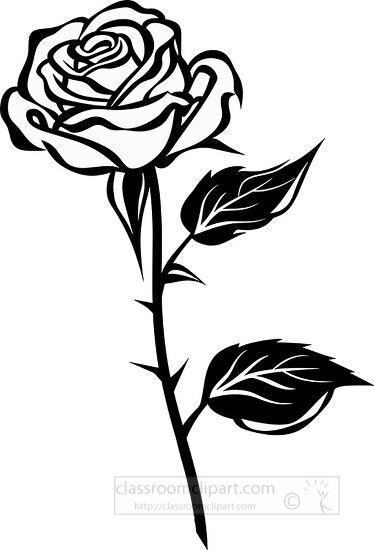 graphic of a blooming rose with a single bud