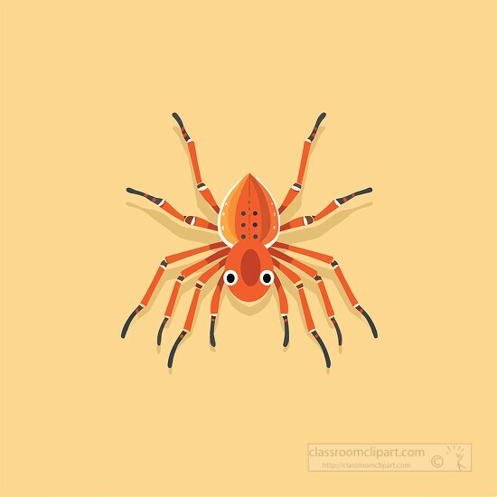 orange red spider with black legs