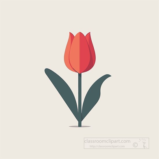 orange red tulip flat design