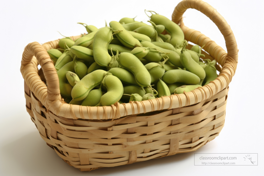 freshly picked whole soybeans in a basket